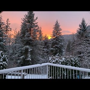 Meet your Posher, Sydni